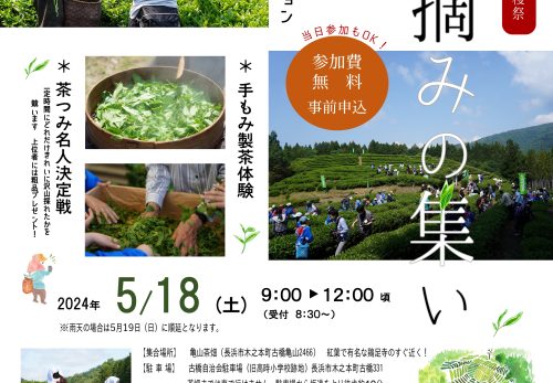 【参加者募集】5/18 第６回こだかみ茶収穫祭「茶摘みの集い」の開催